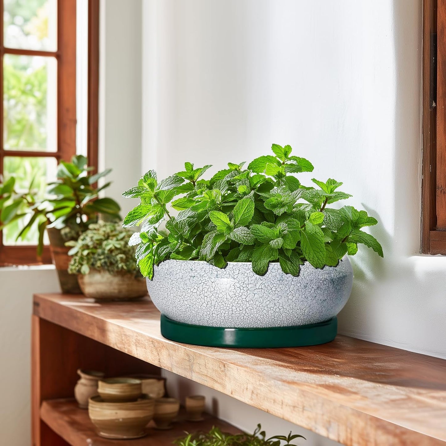 Succulent Planters 10 Inch - Ceramic Bonsai Pots with Drainage Hole and Saucer, Large Succulent Pots Indoor, Shallow Planter, Round Bowl Planter Outdoor, Patio Decor, Plant Lover Gift, Green