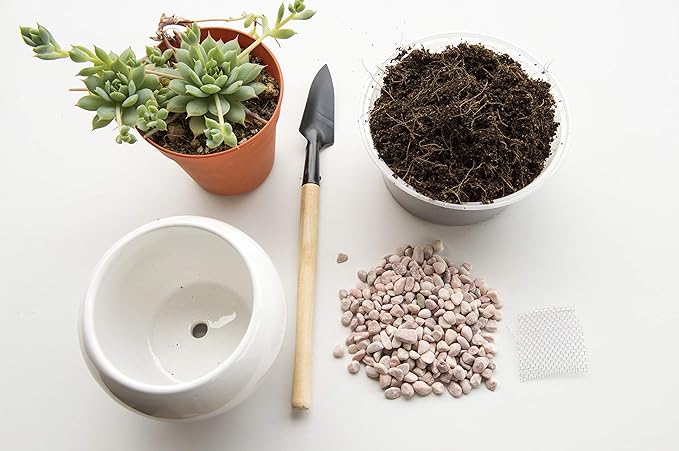Mosser Lee ML1122 Pearl Stone Soil Cover, 5 lb.