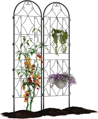 GarveeHome 2 Pack 74.8"H x 21.6"W Garden Trellises for Climbing Plants, Sturdy Plant Trellises with Black Metal Coating, Arched Outdoor Decoration for Patio Lawn, Roses, Vines, Flowers, and Vegetables