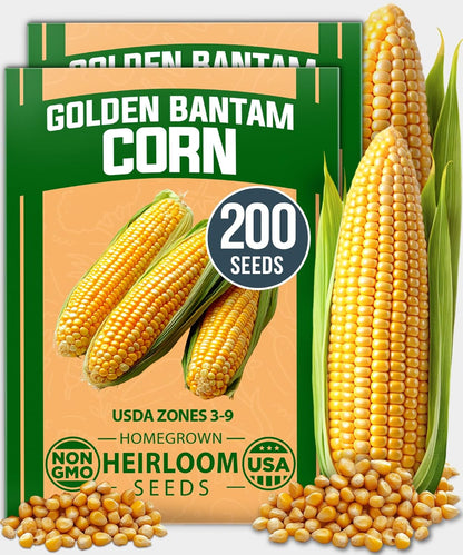 HOME GROWN Golden Bantam Corn 2 Pack – 200 𝗡𝗢𝗡-𝗚𝗠𝗢 𝗨𝗦𝗔 Heirloom Vegetable Seeds – Grow Sweet Corn Outdoors – Easy for Beginners & Great for Home Gardeners –High Germination (Zea mays)