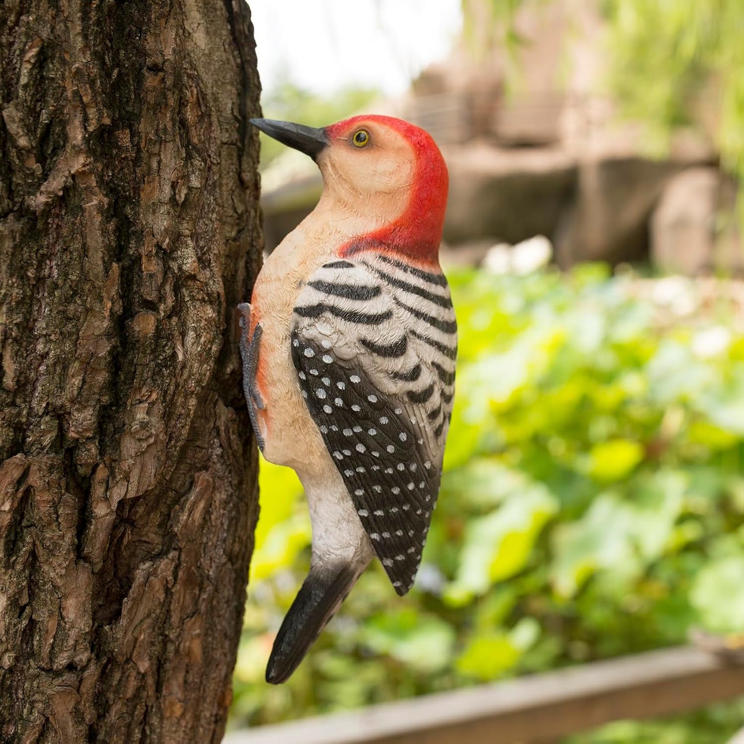 Outdoor Resin Bird Statue, Hanging Tropical Bird, red-Bellied Woodpecker Sculpture Perfect Patio Decor, Outdoor, Patio, Lawn, Tree Trunk, Porch Decor