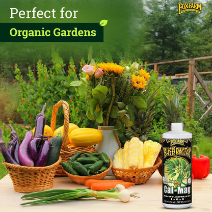 FoxFarm BushDoctor Cal-Mag - Liquid Calcium & Magnesium Supplement, Prevents Blossom End Rot & Tip Burn - Formula with 3% Calcium, 0.9% Magnesium for Gardening- NPK 1-0-0 (Quart)