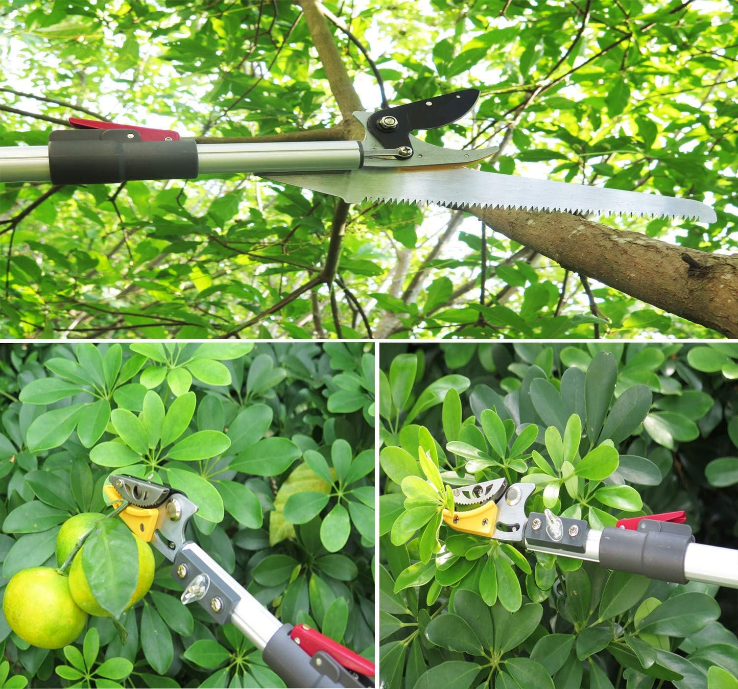 7.6-13 Foot 2 Sections Extendable Tree Trimmers with 4 Nodes Adjustment, Cut and Hold Pruners, Long Reach Pole Saw Pruning Shears, Telescopic Fruit Picker, Branch Clippers Garden Bypass Loppers