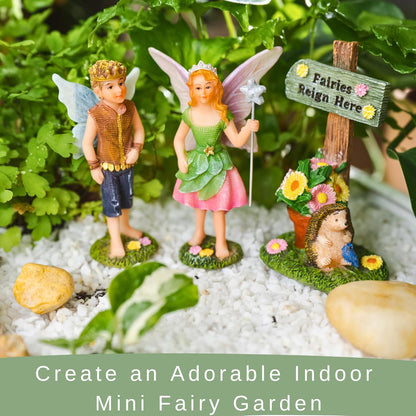 PRETMANNS Fairy House Kit - Fairy Garden Accessories for Outdoor Miniature Village Decor, with Castle, Prince and Princess Fairies & Sign - House, 9’ High & Door can Open Wide - 4 Piece Supplies