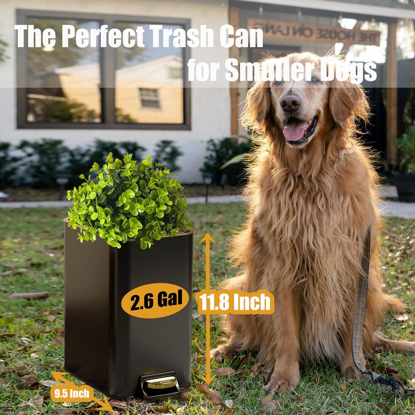 Yatmung Small Metal Trash Can with Lid - Dog Poop Trash Can Outside with Pedal - 10 Liters Pet Waste Container Outdoor - Plant-Styled Poop Bucket - 2.6 Gal Stainless Steel Garbage Bin - Black and Gold