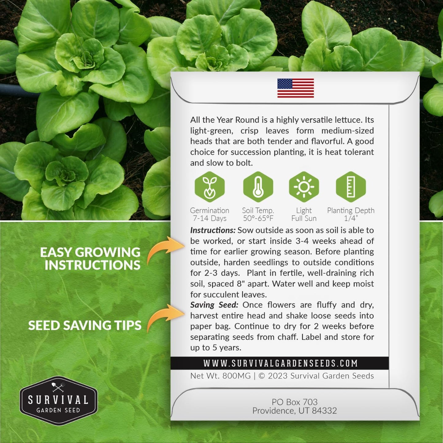 All The Year Round Lettuce Seed for Planting - 3 Packets with Instructions to Plant & Grow Adaptable Salad Greens in Your Home Vegetable Garden - Non-GMO Heirloom Variety - Survival Garden Seeds