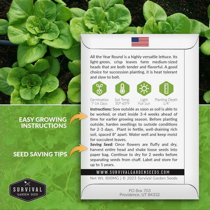 All The Year Round Lettuce Seed for Planting - 3 Packets with Instructions to Plant & Grow Adaptable Salad Greens in Your Home Vegetable Garden - Non-GMO Heirloom Variety - Survival Garden Seeds