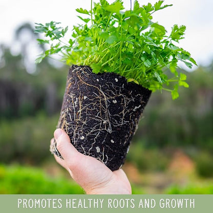 Horticultural Perlite Soil Additive (1 Quart); for Enhanced Potting Mix Drainage and Growth