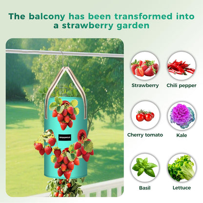 3 Pack Hanging Strawberry Planter Bags, 3 Gallon Hanging Grow Bags with Bottom Planting Hole, Thickened PE Strawberry Pot for Vegetables Herbs Tomatoes