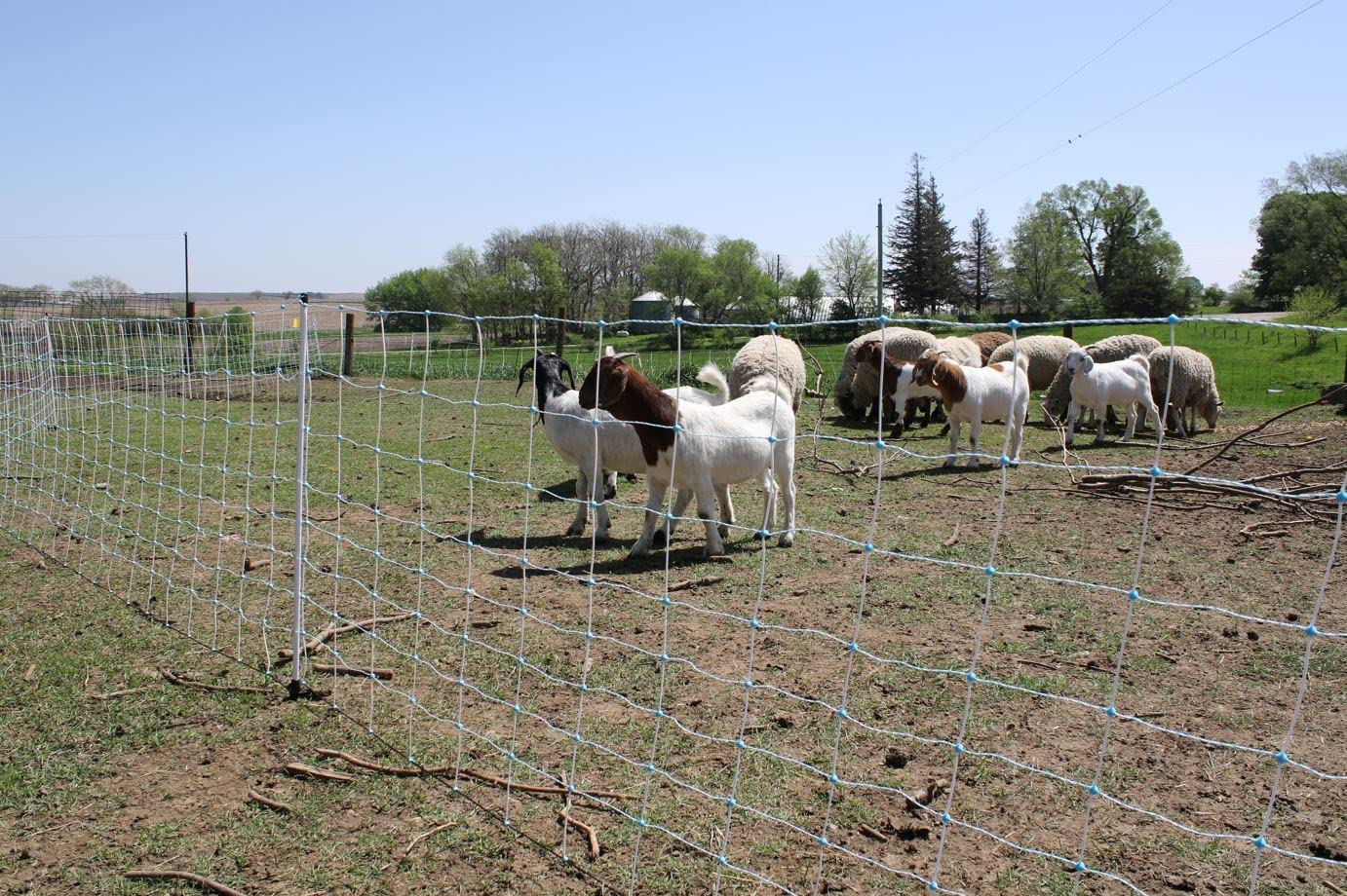 Starkline 35"x164' Electric Netting All-in-One Solar Kit for Goats, Sheep, Gardens, Beehives, Dogs, and More for Backyards, Homesteads, Farms and Ranches