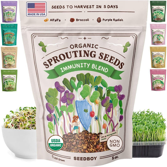 Seedboy Organic Non-GMO Sprouting Seeds, Immune System Booster - USA Grown Microgreens Mix with Broccoli, Purple Radish, Alfalfa - 8 oz Bag Makes 8 Quarts / 24 Servings (Immune System Booster Blend)