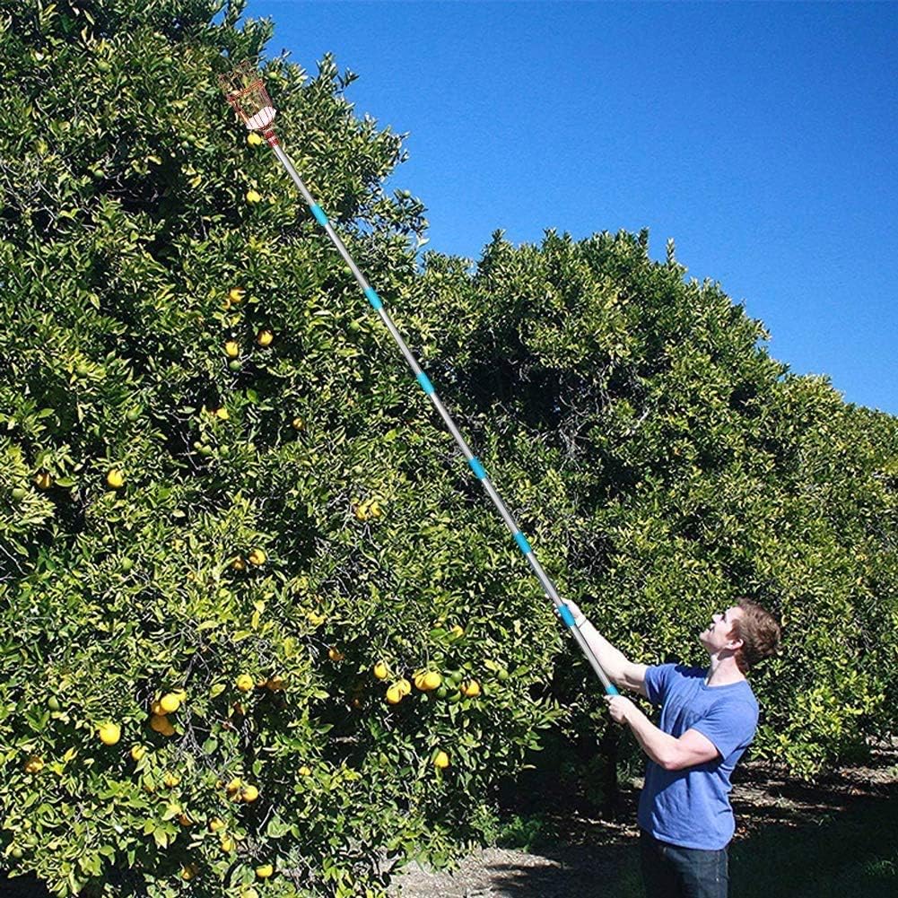 Fruit Picker Tool, Fruit Picker Pole with Basket Height Adjustable - 8FT Mango Lemon Orange Apple Picker - Fruits Catcher Tree Picker for Getting Fruits