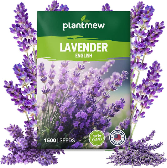 English Lavender Seeds for Planting - 1500+ Heirloom, Non-GMO Seeds - High Germination, Fragrant Purple Flowers Herb Seeds for Home Garden, Indoor/Outdoor
