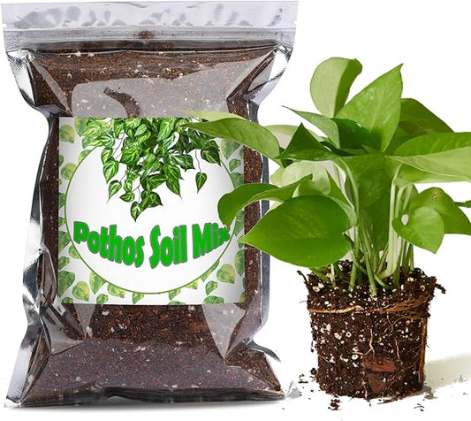 Organic Pothos Soil Mix 10qt, Indoor Plants Potting Mix for All Potted Pothos, Grow Healthy houseplants Indoors