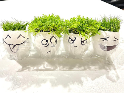 Dwarf Hairgrass Parvula Mini Tissue Culture Live Aquarium Freshwater Plants Decoration