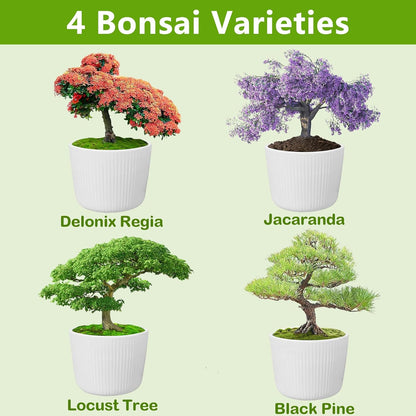Bonsai Tree Kit, Bonsai Starter Kit with Seeds Tools & Planters, Tree Live Plants Indoor, Gardening Gifts for Women Men Mom Father Plant Lover, Birthday Thanksgiving Christmas Gifts