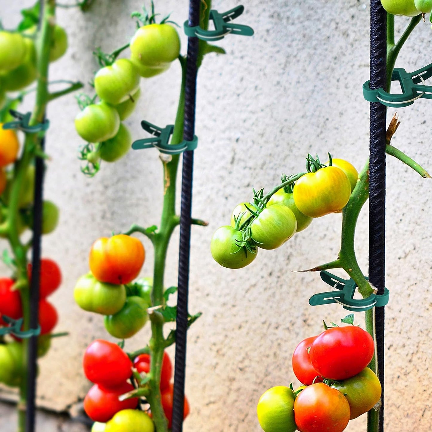 Gardzen 48 Pcs Garden Plant Clips, Plant Support Clips for Securing Stems, Flowers or Climbing Vines to Tomato Cages, Trellis