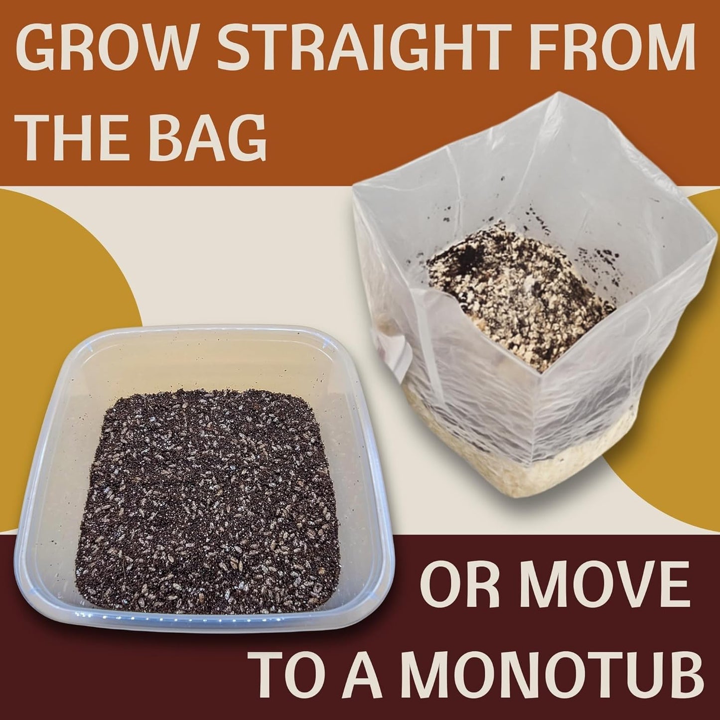 5 lb Mushroom Grow Bag – Sterilized All-in-One Bag with Injection Port – Organic Rye and CVG