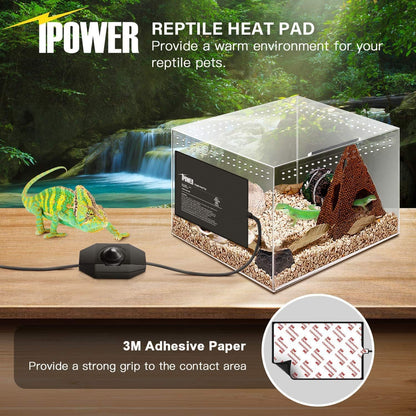 iPower 8x12 Inch Reptile Heating Pad with Adjustable Controller Knob, Under Tank Heater Mat for Turtles, Lizards, Snakes, Amphibians & Small Pets, 2 Pack