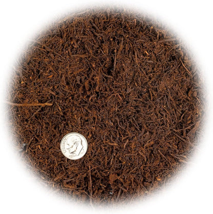 Premium New Zealand Tree Fern by GARDENERA - Orchid and Epiphytal Plants Growing Medium and Reptile Substrate - 3 Quart Bag