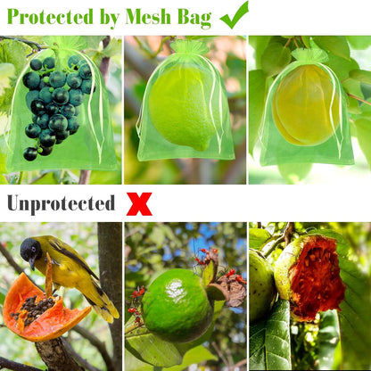 Morcheiong 60Pcs Fruit Protection Bags 8" x 12", Reusable Fruit Netting Bags for Fruit Trees, Garden Netting Mesh Bags with Drawstring (Green)