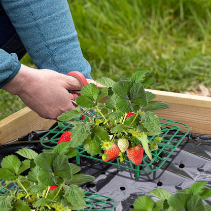Iceyyyy 12 Packs Square Strawberry Supports-Strawberry Growing Racks- Plant Support Strawberry Stand Holder Growing Frame Keep Berries Clean (Square 12PCS)