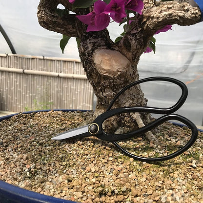 Bonsai Outlet Scissors Pruning Kit - Yoshiaki Heavy Duty Japanese Shears, Bonsai Clippers for Trimming Plants, Arranging Flowers and Working on Bonsai Trees, Carbon Steel Garden Tools