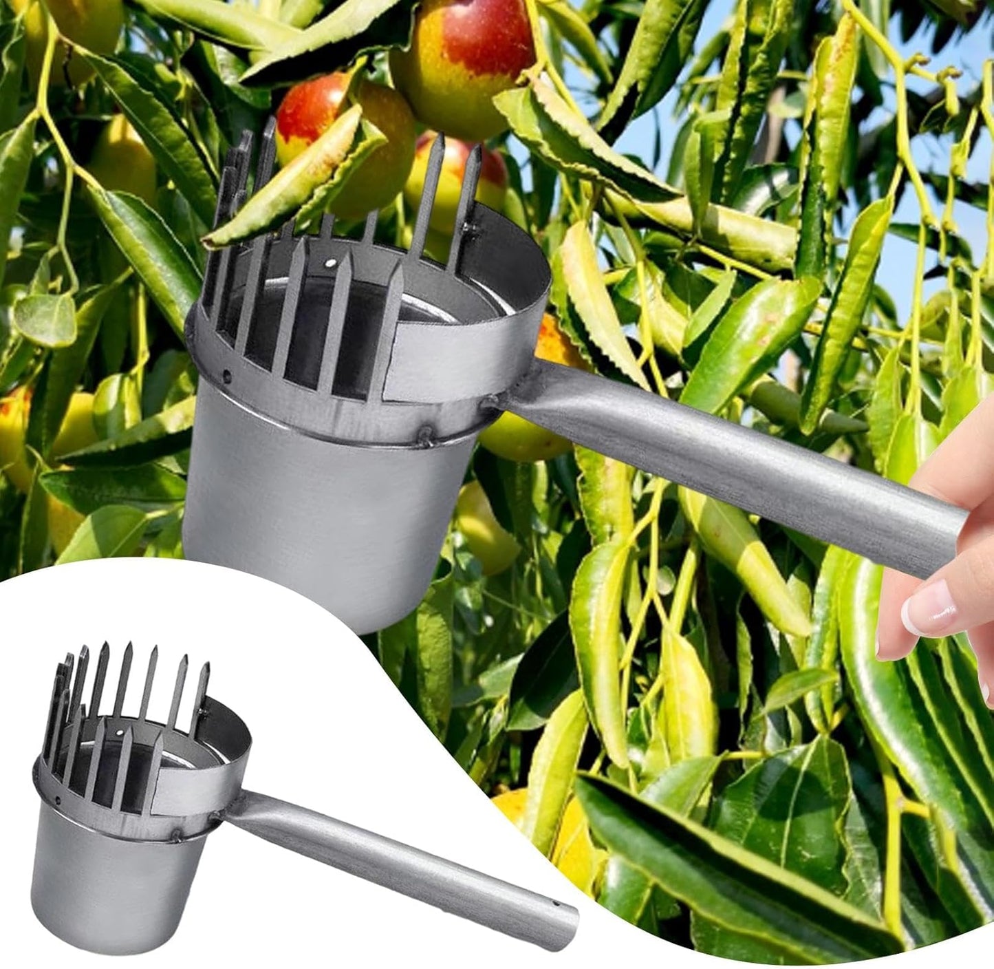 Fruit Picker Gardening Equipment Galvanized Iron Sturdy Easy to Use Portable Picking Tool Manual Agricultural Tool