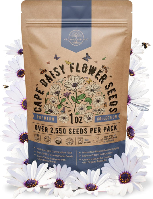 Cape Daisy Flower Seeds Pack 1 oz - Over 2,550 Non-GMO Heirloom Cape Daisy Seeds for Planting