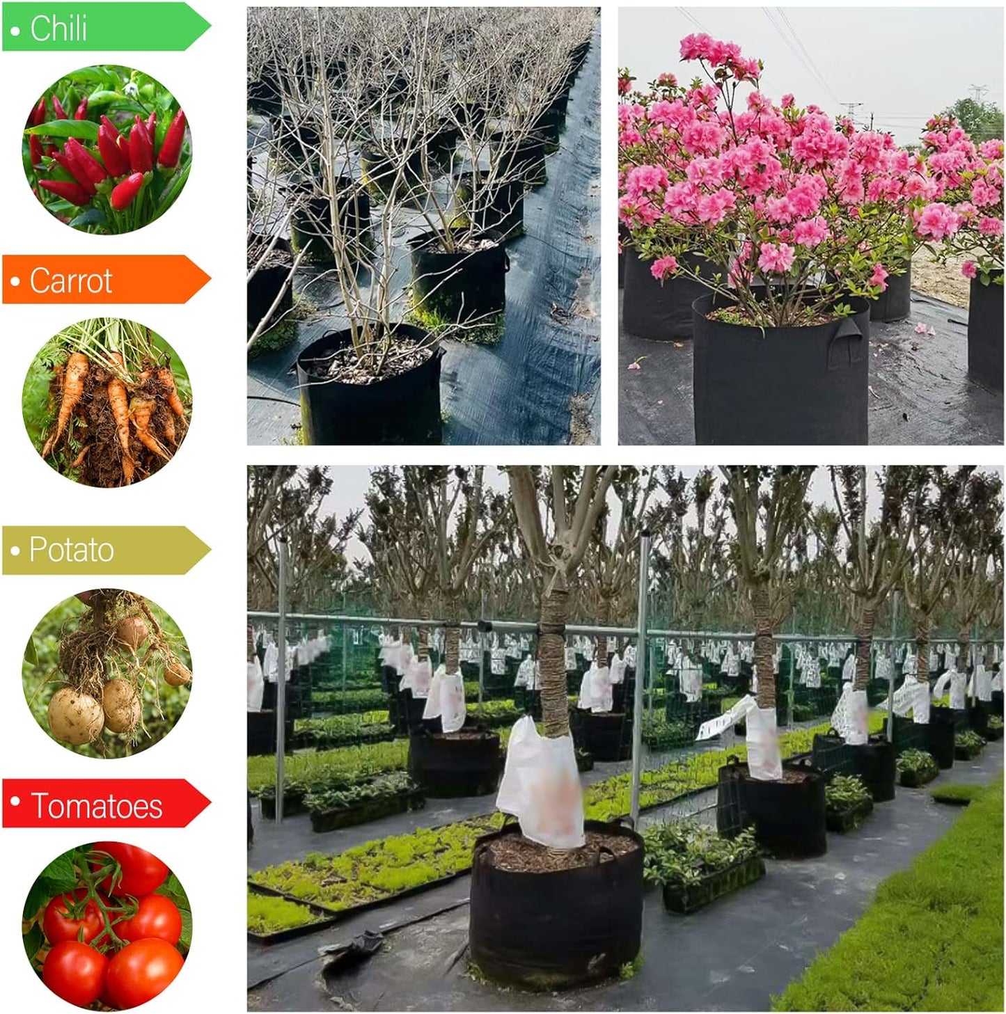 12 Pack Grow Bags 5 Gallon, 300G Heavy Duty Thickened Non-Woven Plant Bag Plant Fabric Pots with Handles Planting Bags, Pot for Plants
