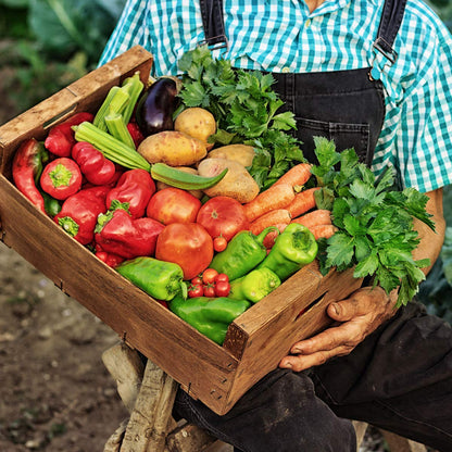 The Old Farmer's Almanac Organic Tomato & Vegetable Plant Food Fertilizer