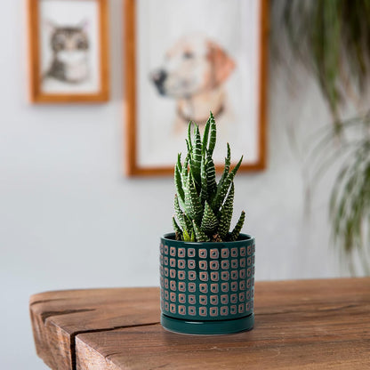 D'vine Dev Set of 2 Ceramic Planter Pots with Drainage Hole and Saucer, 4.5 Inch Plant Pots for Plants Indoor Houseplants, Green, 99-Z-A-4-V