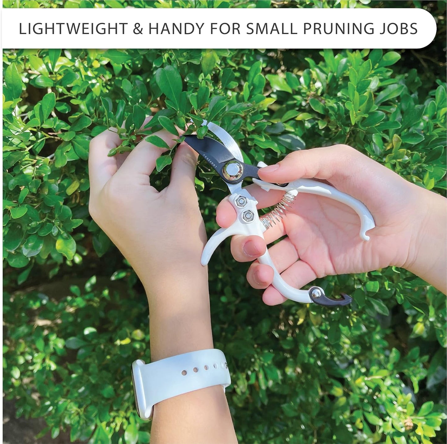 Bypass Pruning Shears Hand Pruner Garden Trimming Scissors Plant Trimmers Herb Snips Flower Clippers Ergonomic Handle Modern Garden Tools