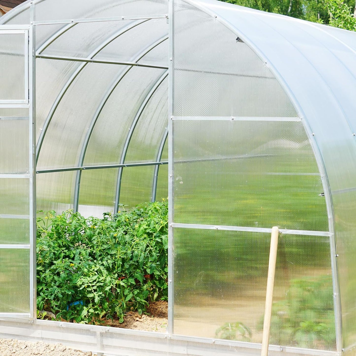 6 Pcs Polycarbonate Greenhouse Panels Polycarbonate Sheets Twin-Wall Roof Panels Waterproof UV Protected Clear Corrugated Plastic Roofing for Greenhouse Replacement(4' x 2' x 0.24'')