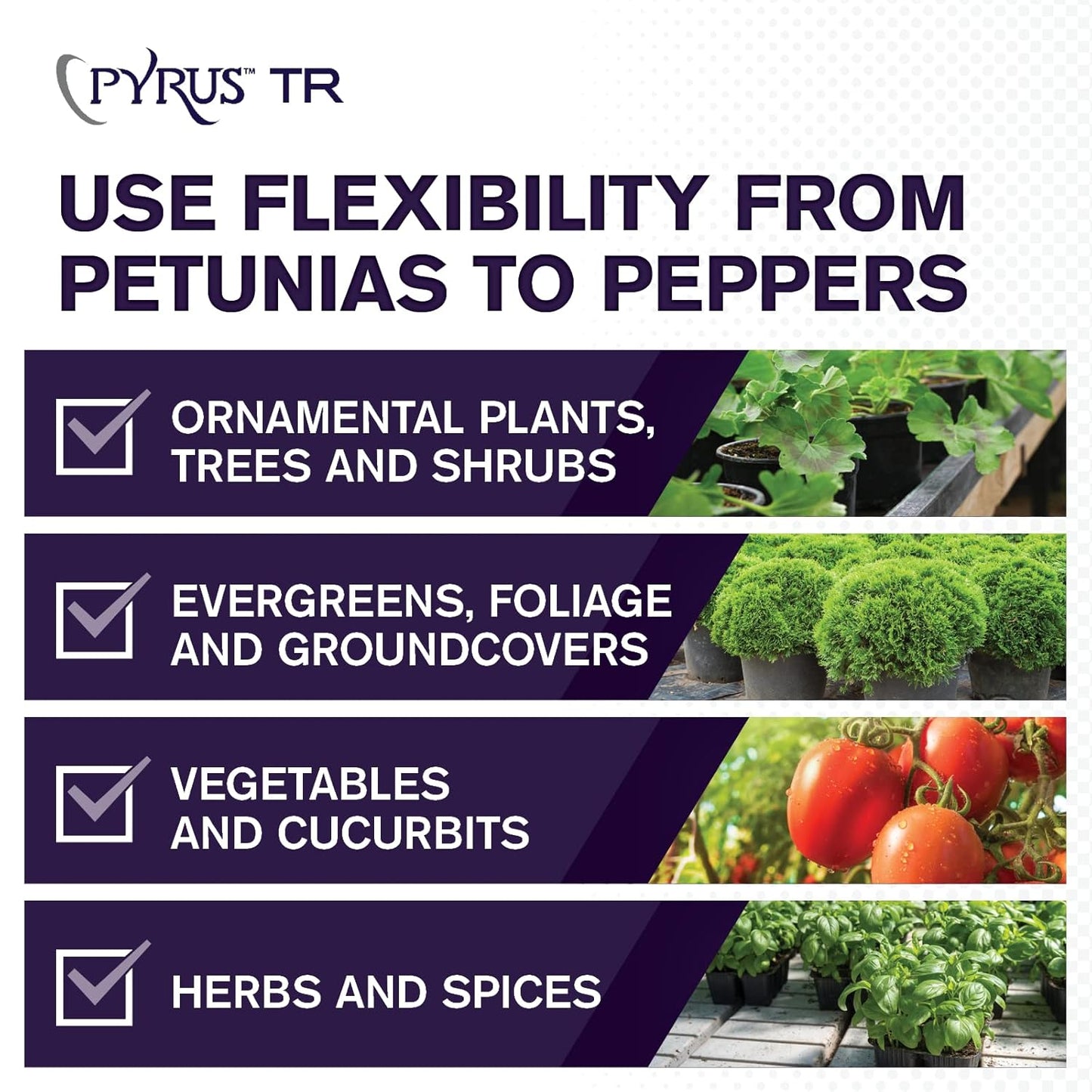 Atticus Pyrus TR Greenhouse Fogger (12 Pack) - Total Release Pyrethrin Insecticide/Miticide - Controls Mites, Thrips, Aphids, Whiteflies, Fungus Gnats (Packaging May Vary)