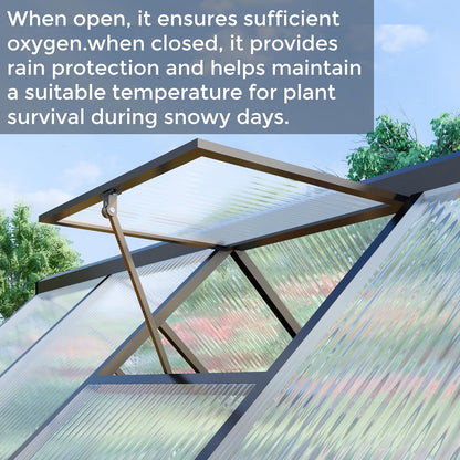 6 x 6 FT Greenhouse for Outdoors,Aluminum Large Walk-in Greenhouse,Dark Gray