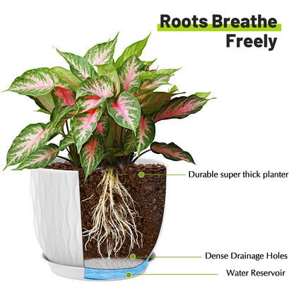 LESOASIS Plastic Plant Pots 10/9/8/7.5/7 inch Set of 5, Flower Planters with Drainage Holes and