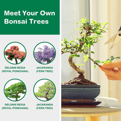 Bonsai Tree Kit, Complete Bonzai Tree Starter Kits with Tools, Unique DIY Gardening Gifts for Mom Women Men, Crafts Hobby Kits, Grow Bonsai Tree Live Indoor