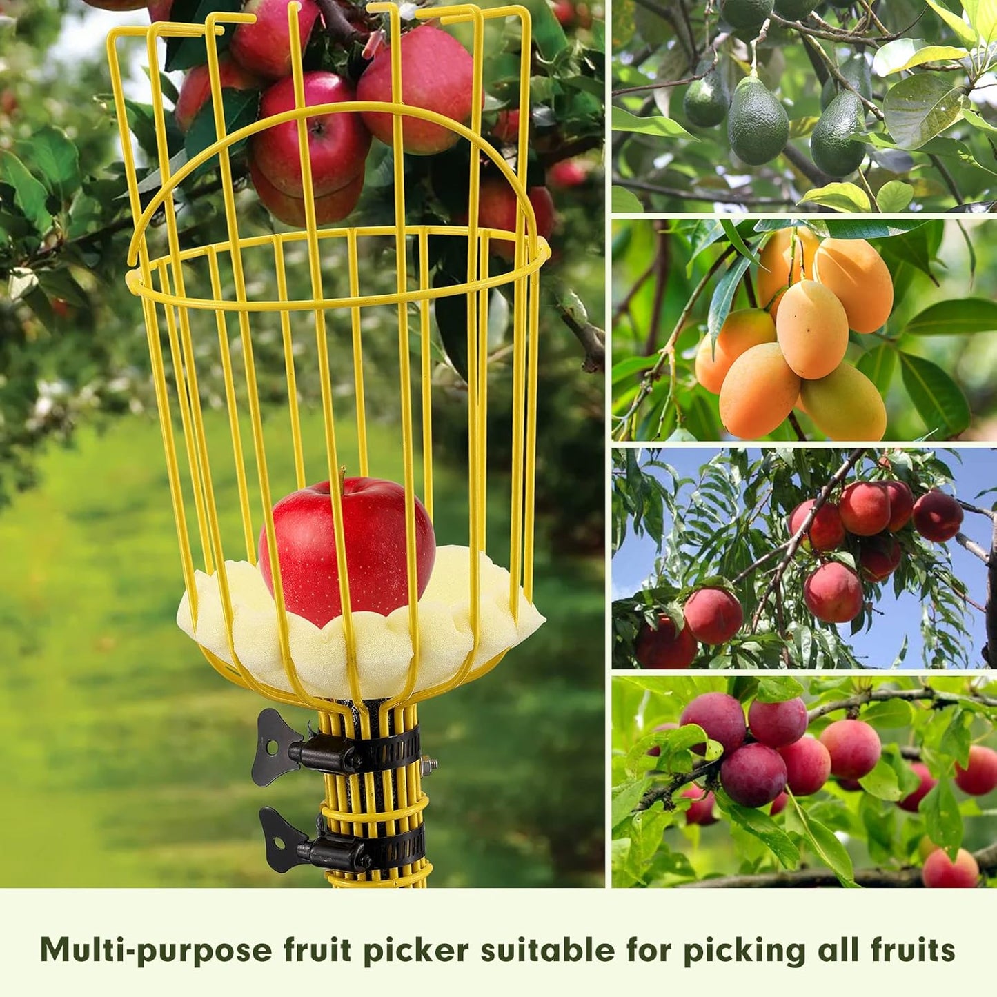 INFLATION Fruit Picker Tool,Apple Picker Pole with Basket,8 FT Adjustable Fruit Picker Pole with Basket Telescoping,Sturdy Basket with Foam Pad for Picking Avocado Acorn Lemon Pear Mango……