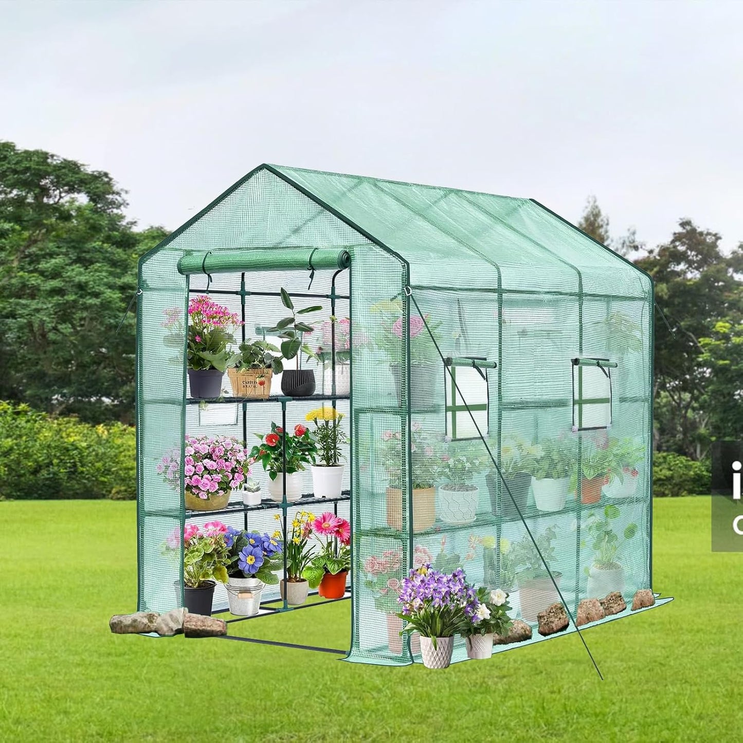 Greenhouse, 57 x 85 x 77'' Greenhouses for Outdoors, with Mesh Side Windows, PE Cover, 8 Shelves, Heavy Duty Walk in Green House for Backyard Garden Indoor, White& Green Outside