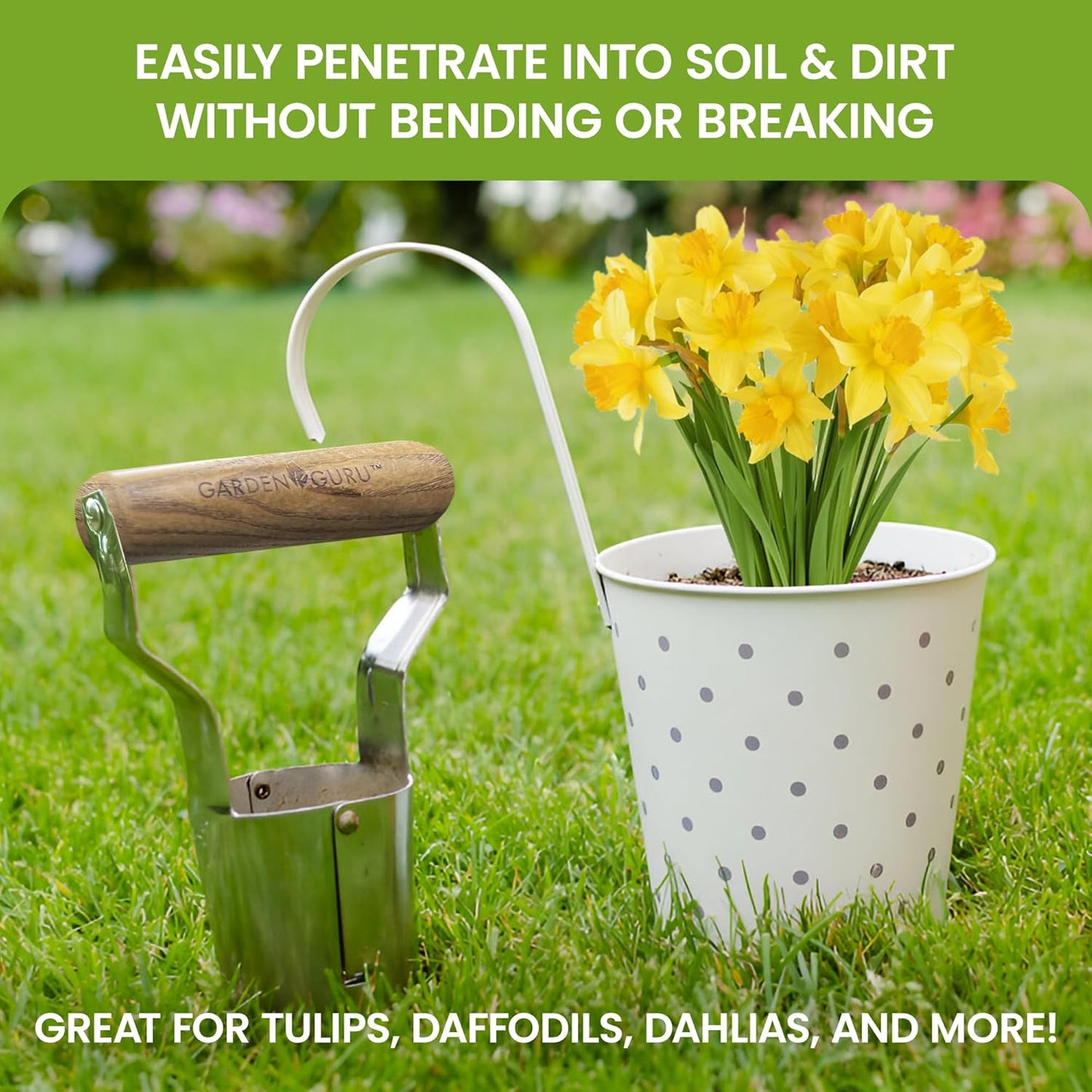 Garden Guru Eco Bulb Planter - 100% Recycled Stainless Steel - Rust Resistant - FSC Certified Wood Ergonomic Handle - Depth Marker for Consistent Planting Flowers Tulips, Dahlias - 1 Case (24 Pcs)
