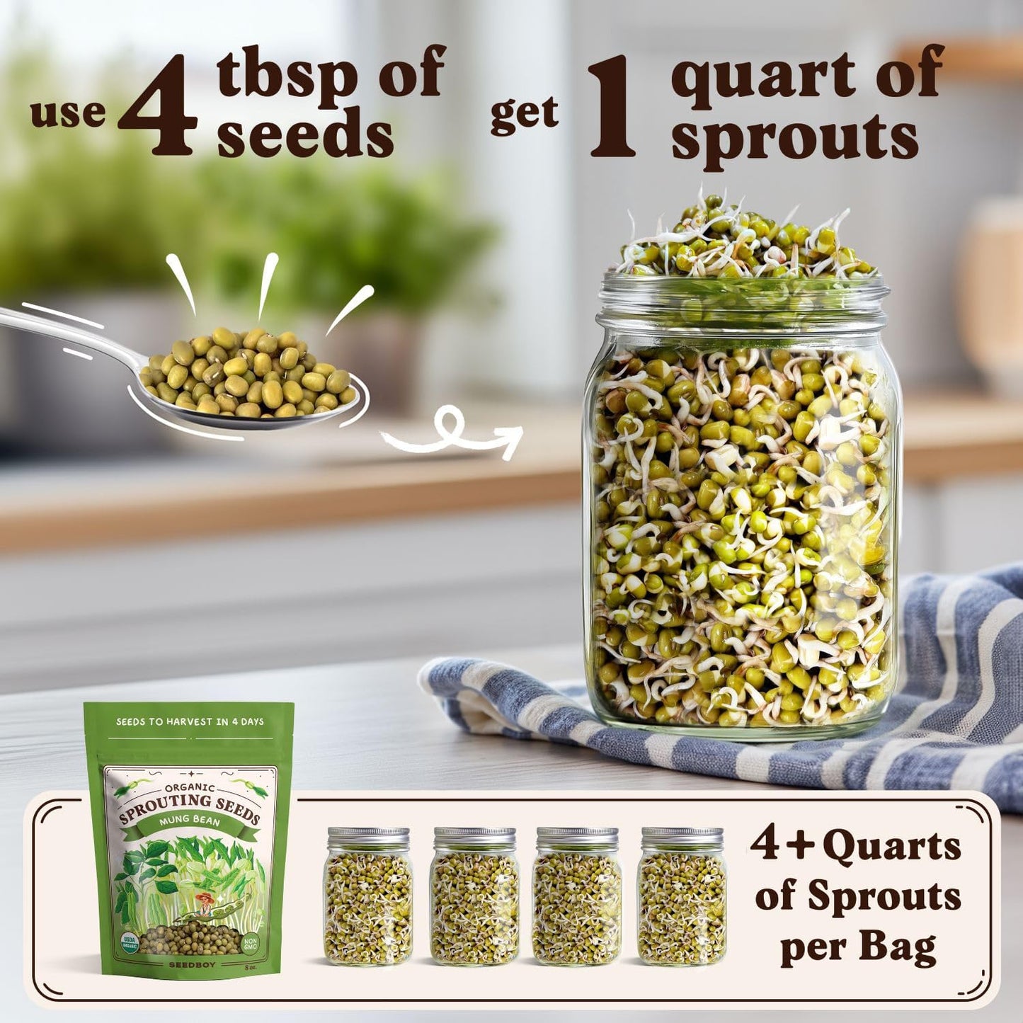 Seedboy Organic Non-GMO Mung Bean Seeds for Sprouting - Microgreens Sprouting Seeds - 8 oz Bag Makes 5 Quarts / 15 Servings (Mung Bean)
