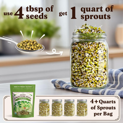 Seedboy Organic Non-GMO Mung Bean Seeds for Sprouting - Microgreens Sprouting Seeds - 8 oz Bag Makes 5 Quarts / 15 Servings (Mung Bean)