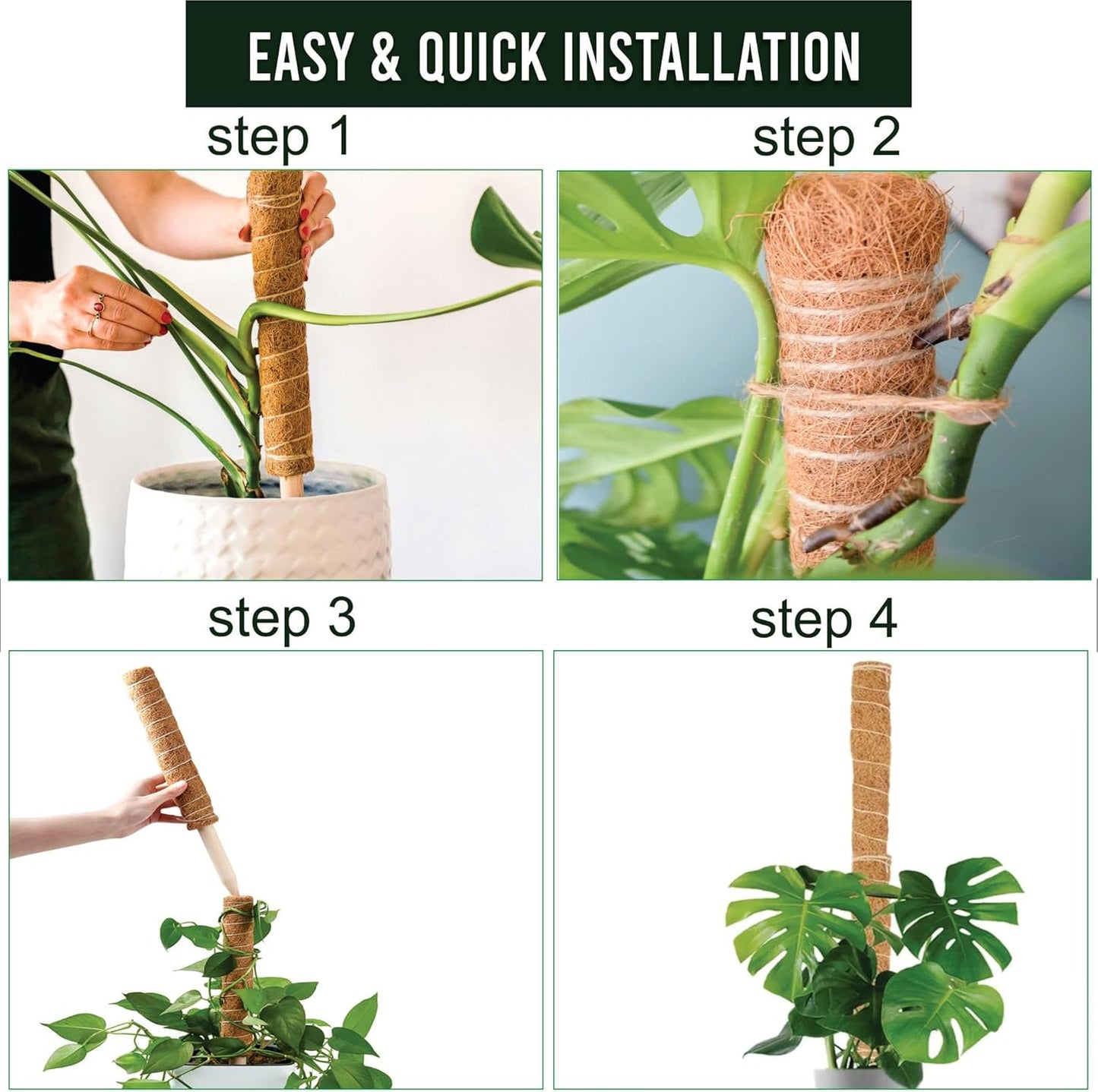 Moss Pole Pack of 2 – 50CM Monstera Plant Support | Natural Coco Coir Plant Poles for Indoor Plants | Extendable Moss Sticks for Climbing Plants, Pothos & Philodendron