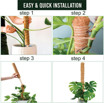 Moss Pole Pack of 2 – 50CM Monstera Plant Support | Natural Coco Coir Plant Poles for Indoor Plants | Extendable Moss Sticks for Climbing Plants, Pothos & Philodendron