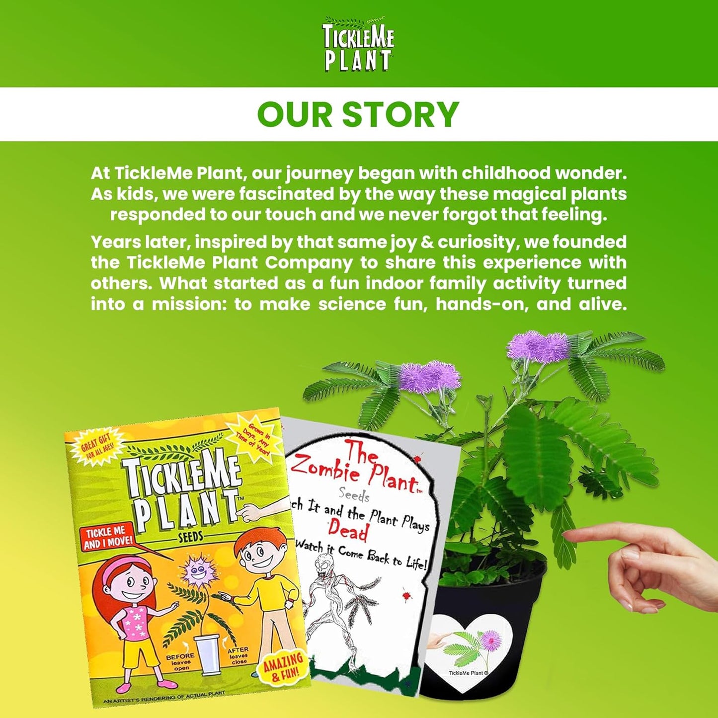 Zombie Plant Party Favors (2) Plays Dead When Touched! Includes Soil, Seeds & Mini Flower Pot. Supplies for Zombie Themed Birthday. Plant it as a Fun Indoor Science Activity
