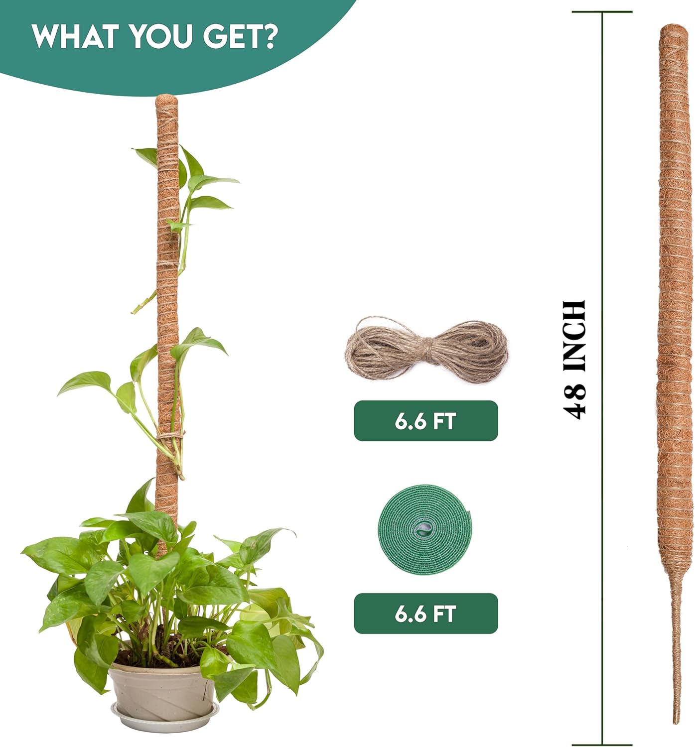 2 Pack Moss Pole for Plants (Moss Pole 48")