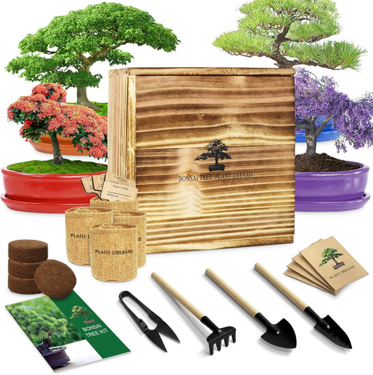 Bonsai Tree Starter Kit for Beginners - Indoor Live Plant Gardening Adult Craft Kits - Unique Christmas, Birthday, White Elephant Gifts for Women, Men & Kids