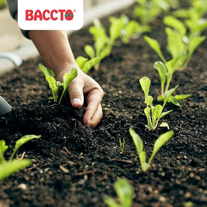 1550P Baccto Top Soil for Lawns, Gardens, and Raised Planting Beds with Reed Sedge, Peat, and Sand, 50 Pounds (3 Pack)