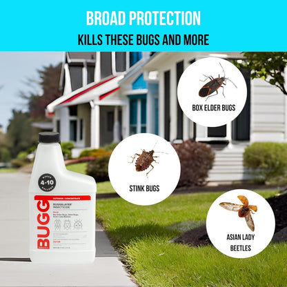 BUGGSLAYER Insecticide - Concentrate - Outdoor Box Elder Bugs, Stink Bugs, Asian Lady Beetles - 16 oz Bottle
